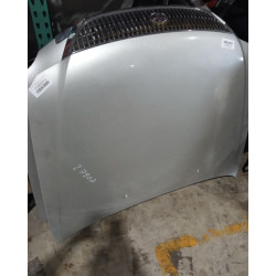 Hood For 2002 Toyota Avalon Stock 27807