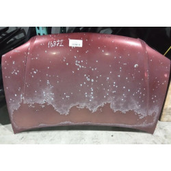 Hood For 2001 Toyota Sienna Stock 16972