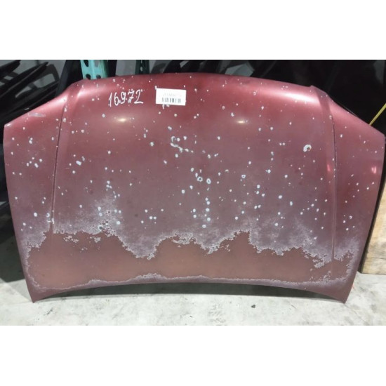 Hood For 2001 Toyota Sienna Stock 16972