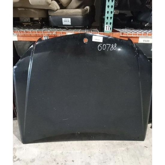 Hood For 2008 Mercedes Benz C Class Stock 60788