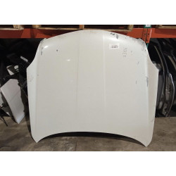 Hood For 2003 Infiniti G35 Stock 23106